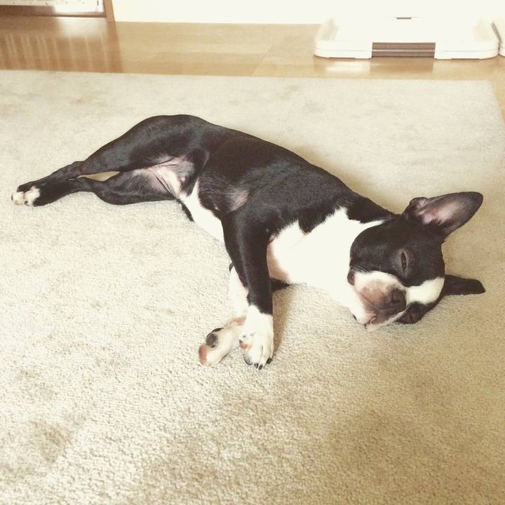 E8fcb0aa 8d36 4e52 b604 c6e712facff1