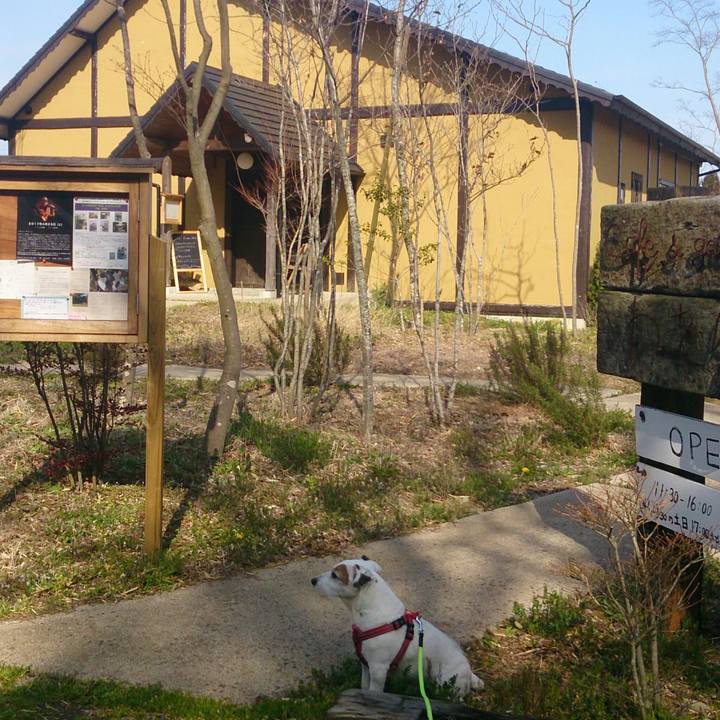 E8fceb84 2dd3 42de bded 69465e80aa32