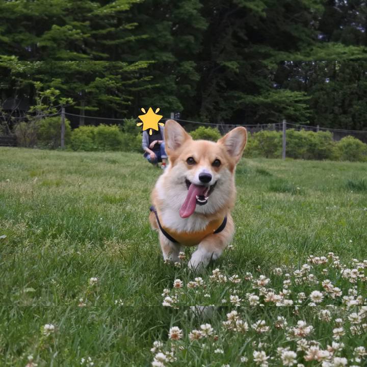 E8fd1036 7a20 4888 b9fc 6a9e2a81dbb1