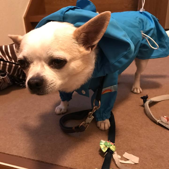 E8fd6add 1049 49e0 b616 c9766b0a997c