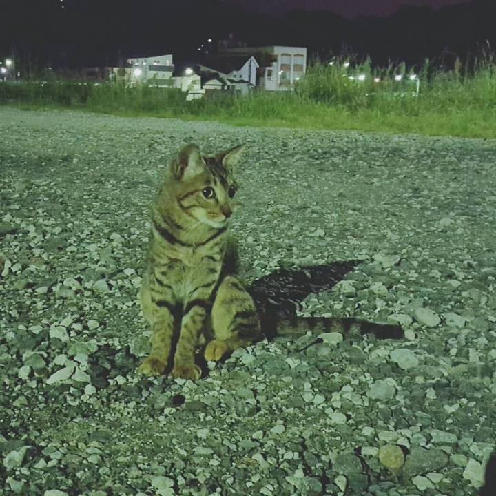 E8fd806d 153a 4543 800b 8fbfc02b49b6