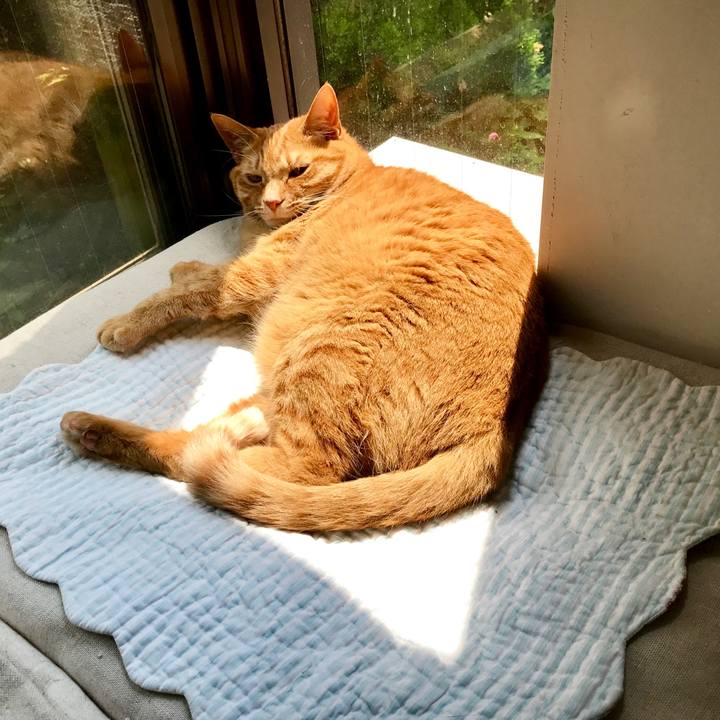 E8fe9b4e 6cea 437f b642 1d63d910775d