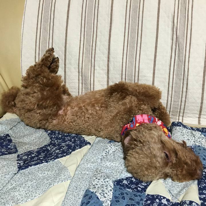 E8ff3854 5f8e 4981 a67b 3cca14576581