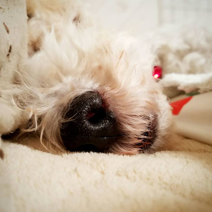 E8ff9fba 14b5 4f6e 9b98 af14fedd5874