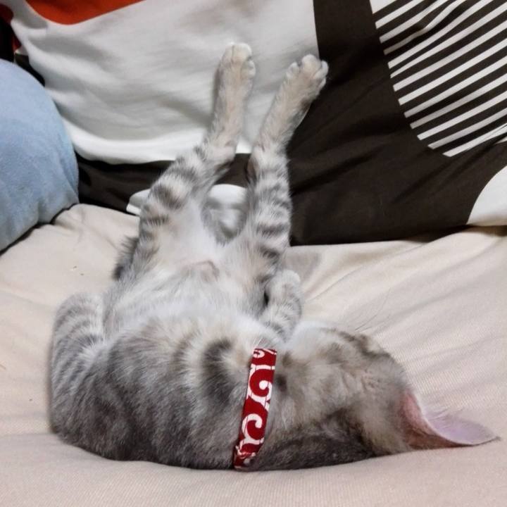 E8ffd9c1 6fe6 4eec 96f7 abe65c46d0fd