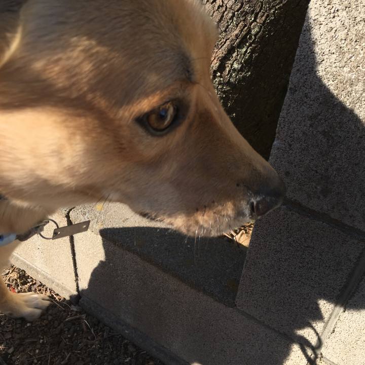 E9003dcc 510b 4bcc 8991 27f4ee01f1c5