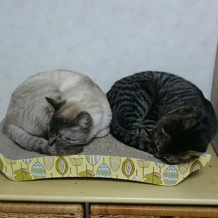 E900544f 4a6a 4732 b5eb ac1647b19693