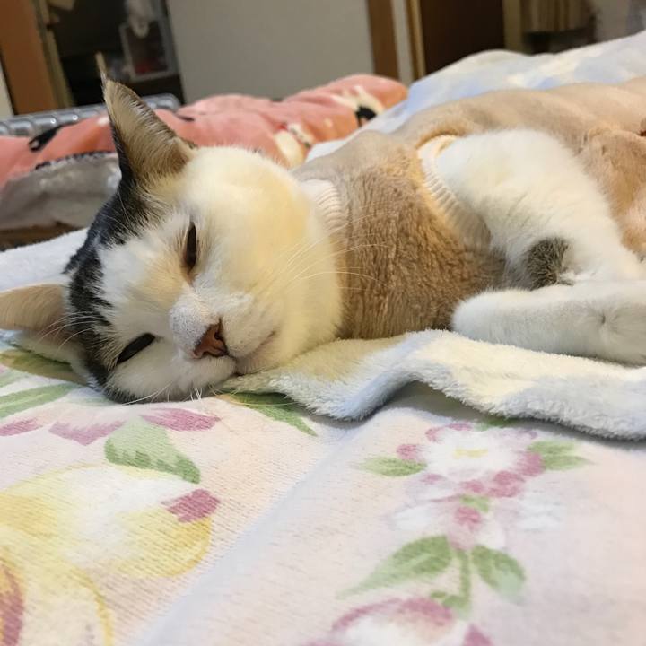 E9008f52 d327 4ce1 9ac9 86d235271b44