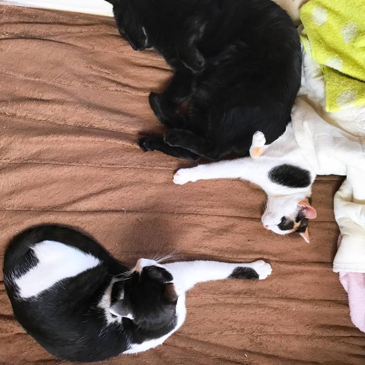 E9009d75 a3a2 46c8 a3c9 8c3ec602b666