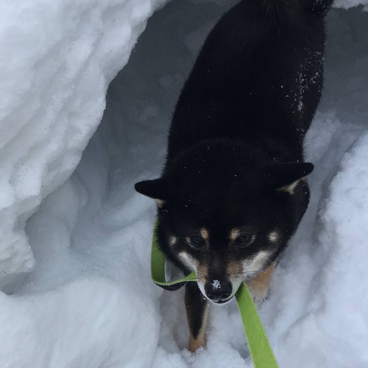 E900ebd2 73e3 4542 802a eb959834d861