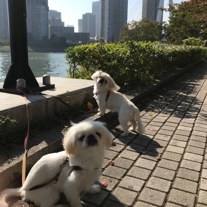 E9018f10 29c9 401b 9516 5ec4828a1942