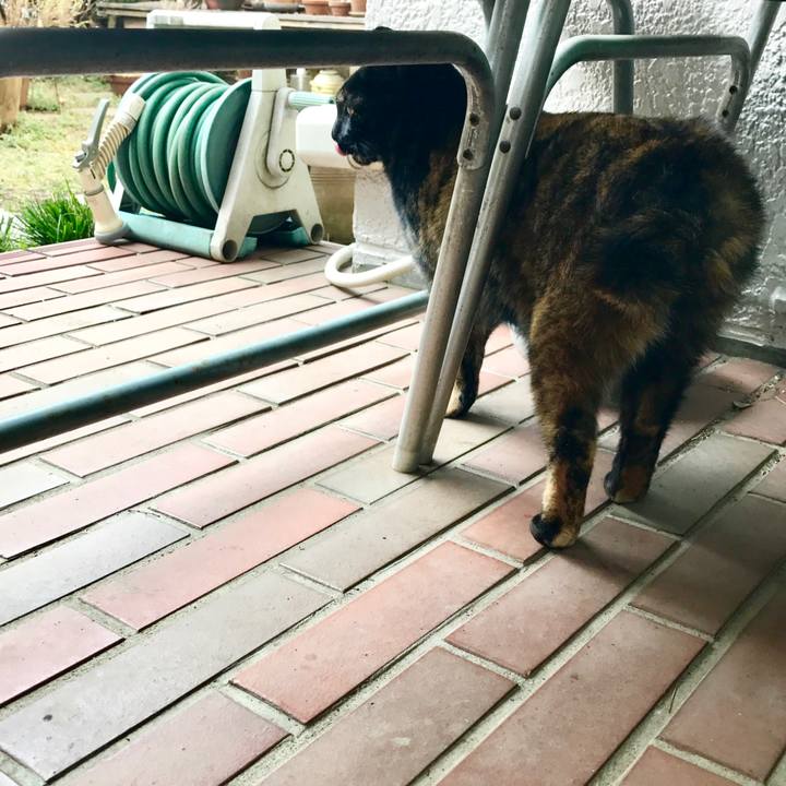 E901f891 e07c 4a01 bc55 dedd03589328