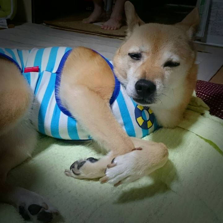 E904175a 7120 46c6 8fb4 d0c22202ccf1