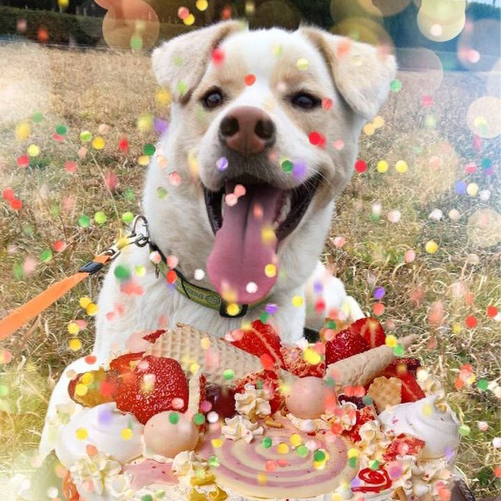 E904d6ac c623 490e b1bd 0524936abef7