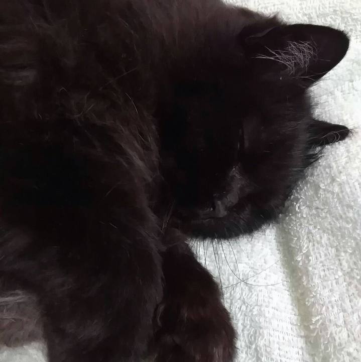 E904f0b7 673b 4269 ad21 b30ce2f1d3d7