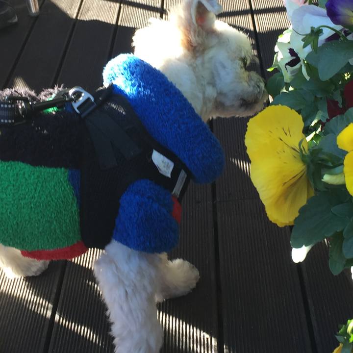 E9056583 04b5 444a 9564 962d575de267