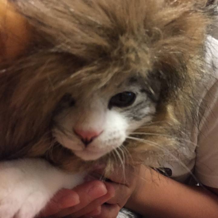 E908277f 12ee 4f40 ab9a 8f3400f418fb