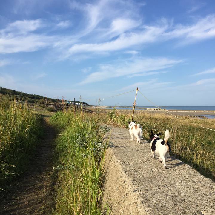 E9087321 caa8 4bb8 9ab1 883636114fa9