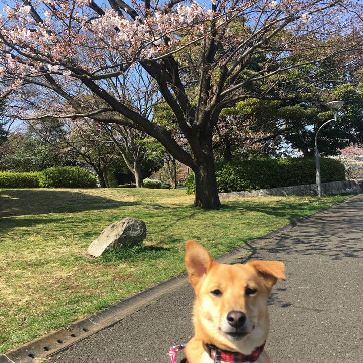 E908833e b7f8 4ff0 8dc5 30e3527b2eb5