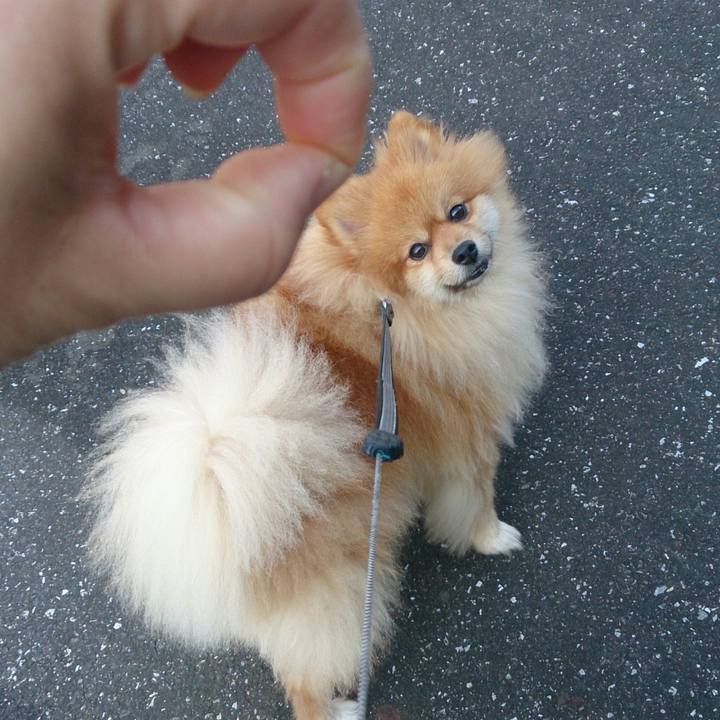 E90892b6 1926 4f81 a550 1eec39f1a2d2