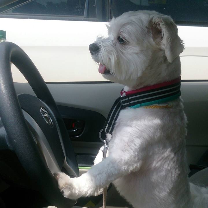 E908d47c 6d86 4d78 acd7 11f2275405a6