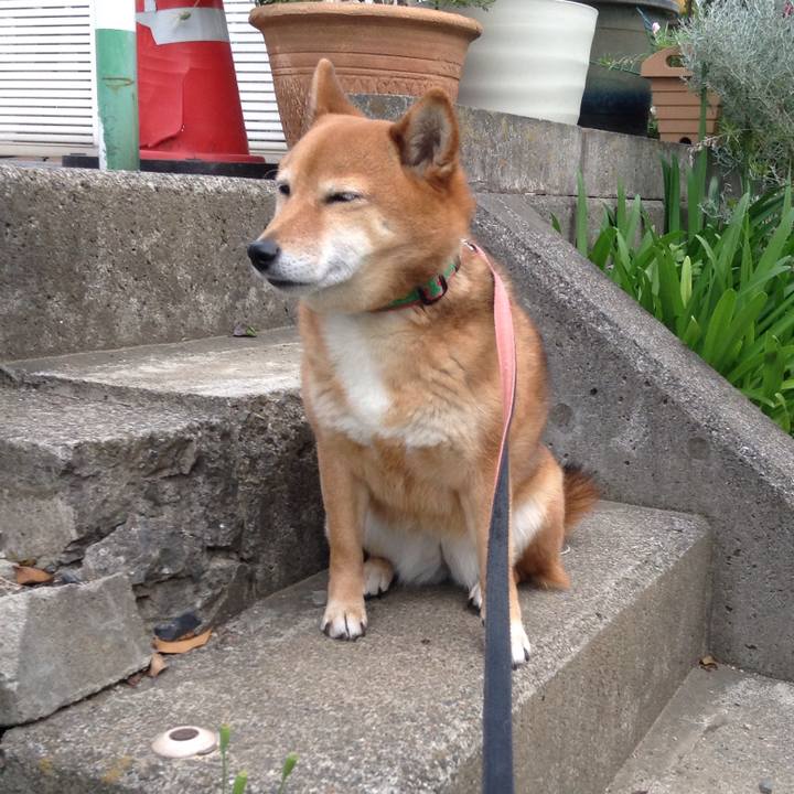 E909011d 61a9 4bb7 ae3c 7d21c6e14a8b