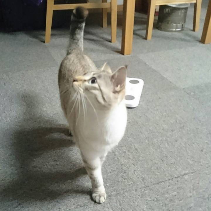 E9096c03 4625 41fc b8d5 824e09a3f255