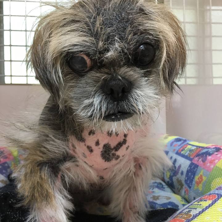 E909a312 b9b2 4306 b7c5 e67b91baf69f