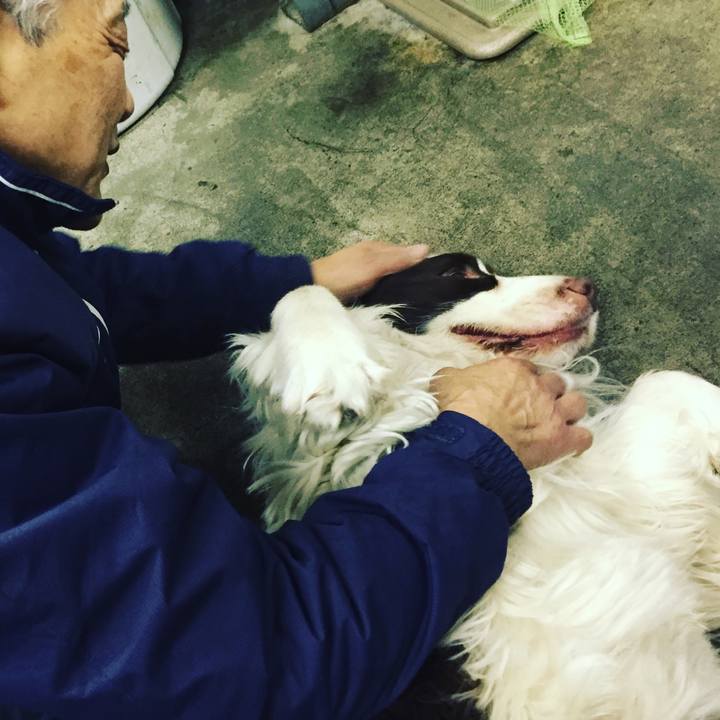 E909ca30 2d4d 4299 af36 3040a7e7e179