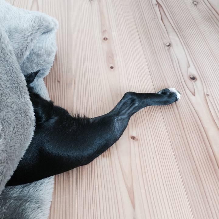 E90a020c 8eb4 4963 a3a0 c4e4e1b71463