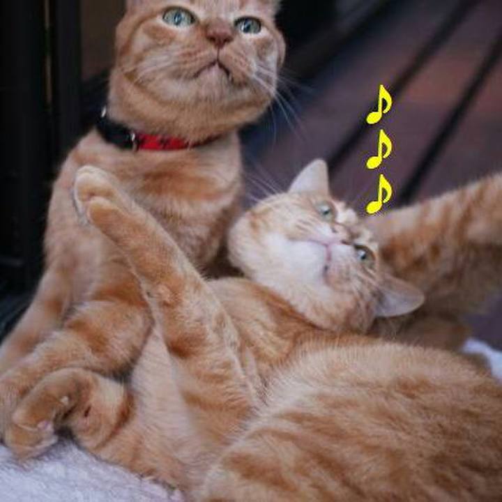 E90a17c3 75ea 4e22 b1b2 7878ebdee892