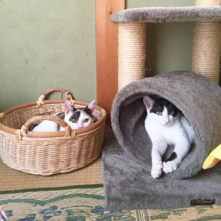 E90a1dbc 2aec 4de4 830f 4d302625c805