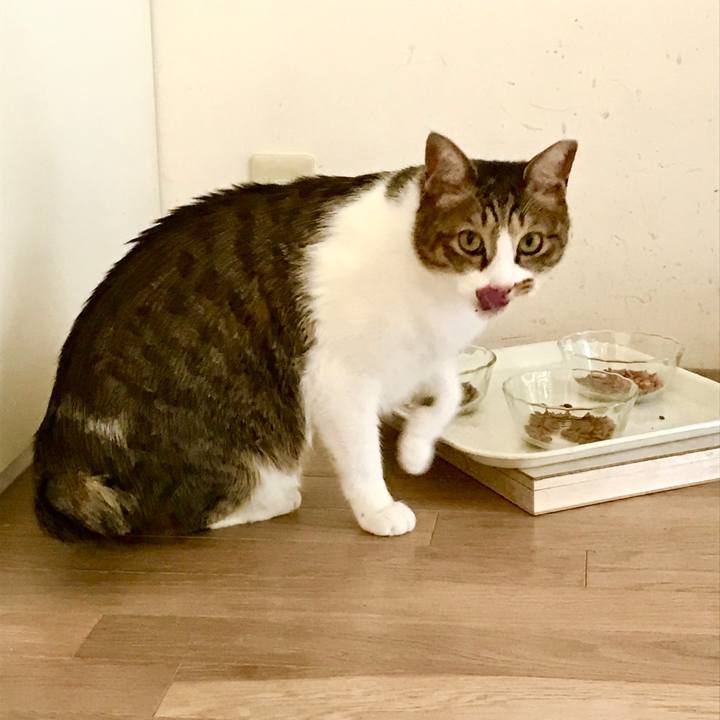 E90a549e 559a 4f77 9cd2 07f676b5637e