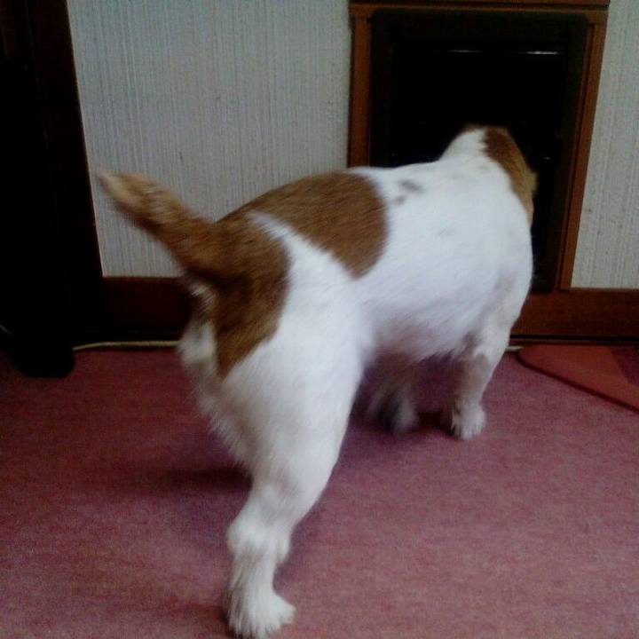 E90a70a2 605d 4caf 8f50 bb164901d0e3