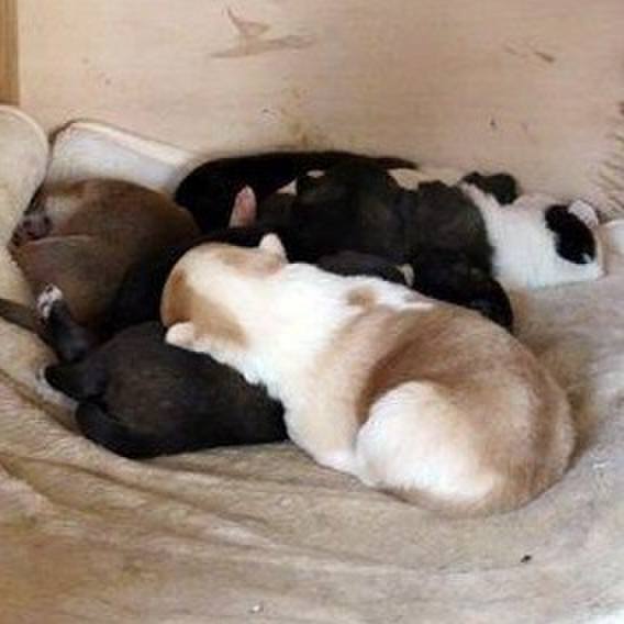 E90b12f0 f486 41ca 8be7 3077205cd5fd