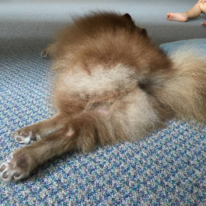 E90b6b30 1916 4070 8434 c84a11838409