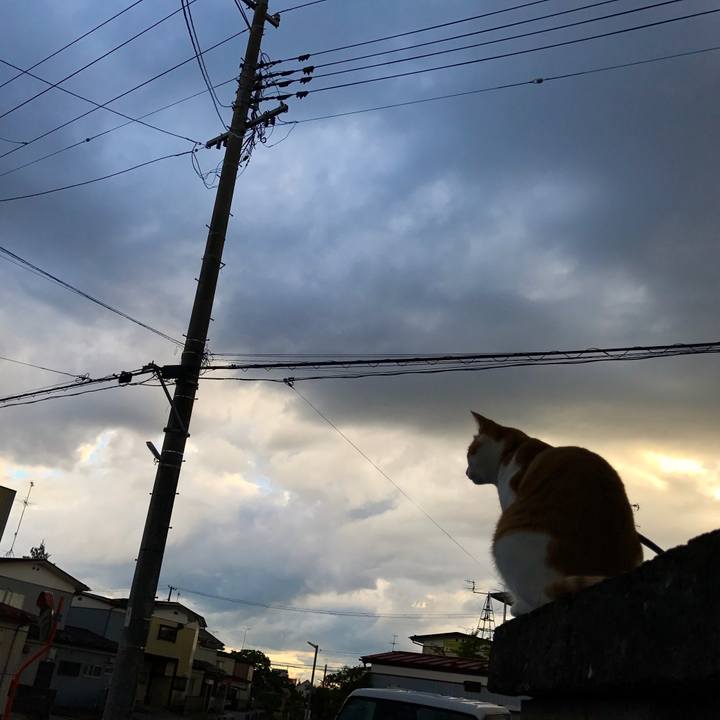 E90ceb8f 698e 4a51 8b5a 133b35628873