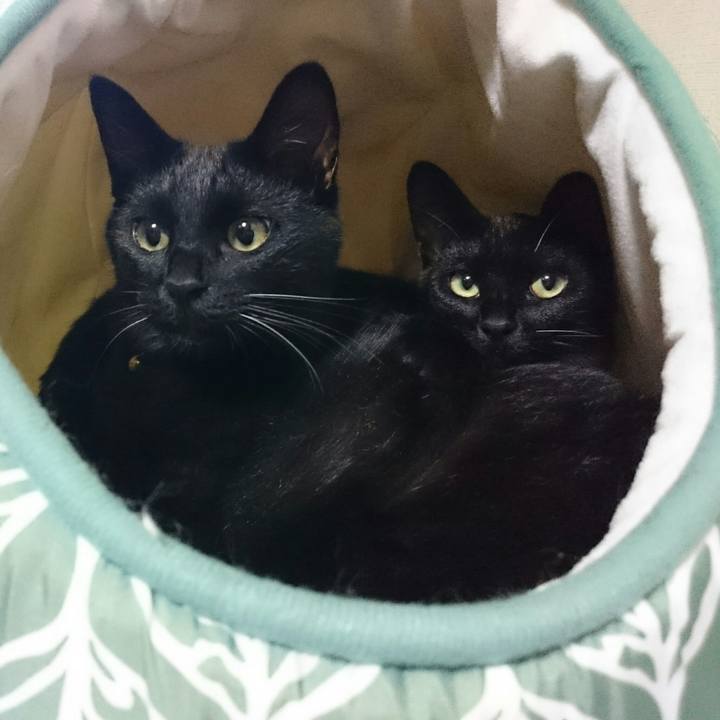 E90d521f 48ef 4e44 b1c7 a139cfbf0e9a