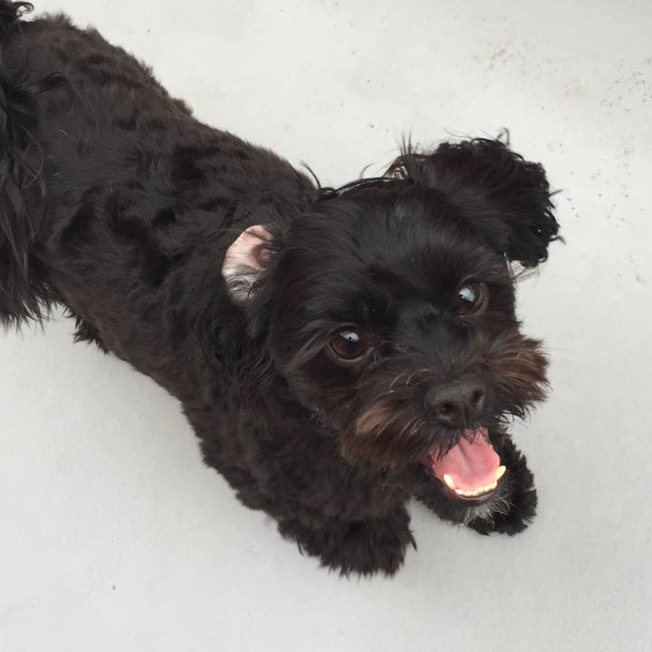 E90d6a8b 5fa6 44c9 aadf 54c3c4fb2feb