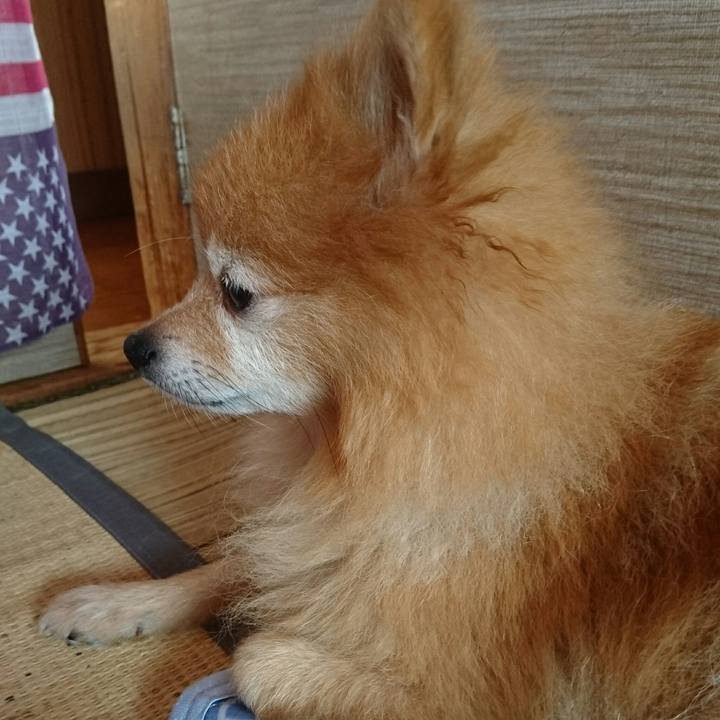 E90d760a ae0e 4de9 8edc 0c23ec7b9545