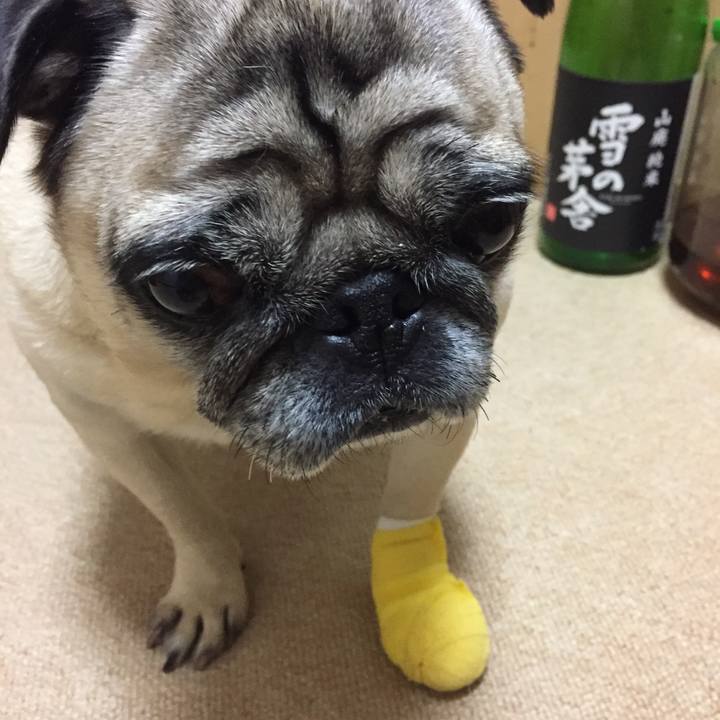 E90d893f 78bf 43c2 a3f1 f3bdde733fad