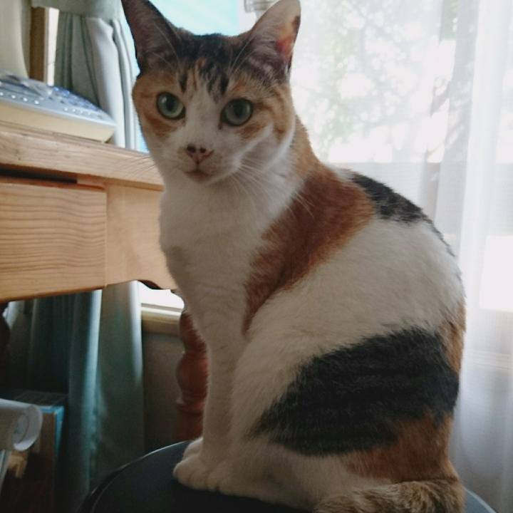 E90ea8e6 2291 4280 82fd f05787b7efb4