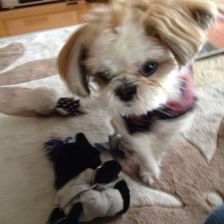 E90fbe24 48ad 4e98 b9b6 375f6b876262