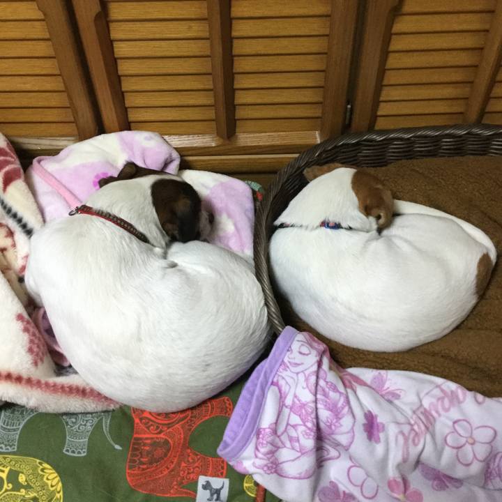 E91060d5 8e72 47de 98ec a70e3507084f