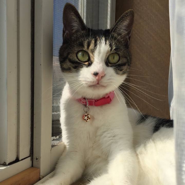 E9107078 7d93 4270 a8ed 6c91219750ab