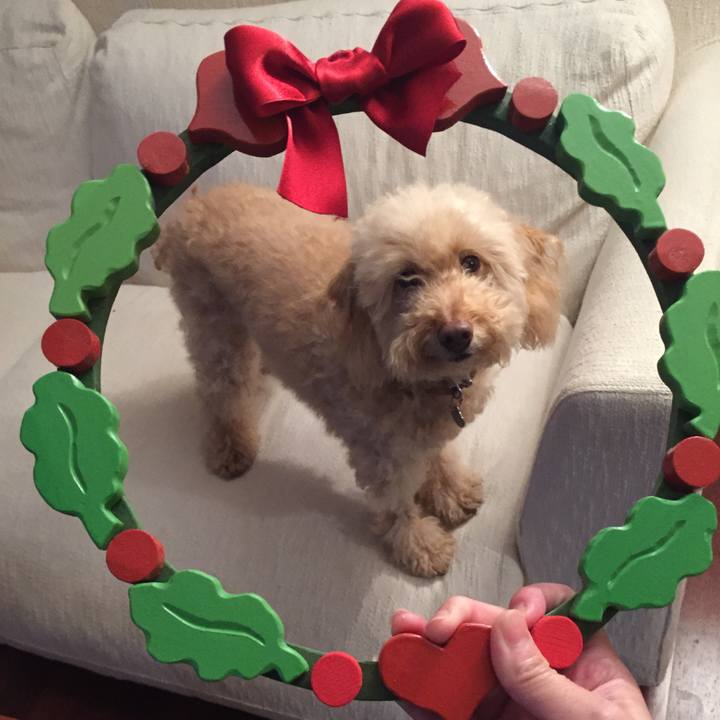 E910881f b248 418a 862f 8f0bdd6c4a52