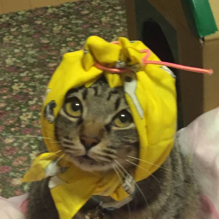 E912a745 1d61 4d91 8022 43eab67aceee