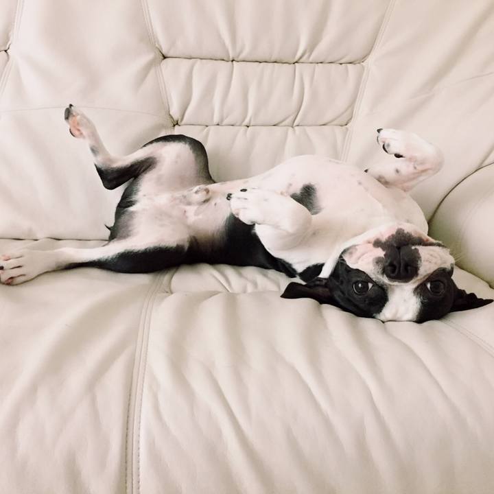 E912d7b2 c0ea 41dc 833d 4ef074fa9472