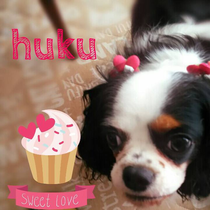 E9135625 31ea 4cf8 a580 cad98601fcae