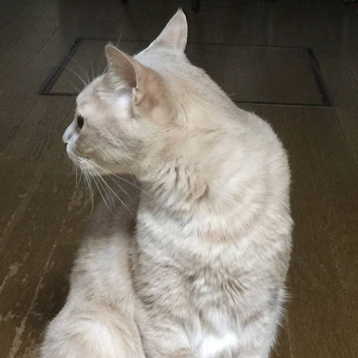 E91356a3 4d7b 4101 8264 7598755b3d41